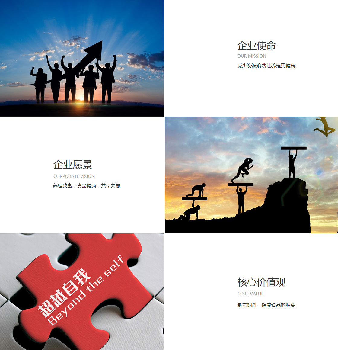 熊猫体育(china)官方网站(图1)